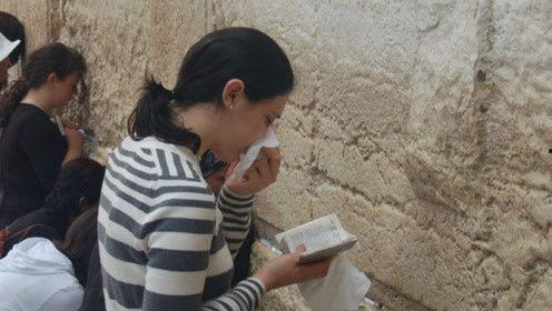 娱乐吃瓜君被骂,网络素养何在?